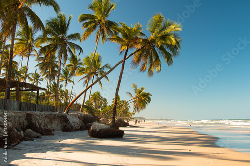 Canvastavla Tropical landscape with beach with coconut trees at sunset
