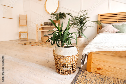 green plant in beige wicker recycled eco basket on bright interior room with cozy bed. Stylish, minimalistic interior of Scandi. Growing and caring plants at home