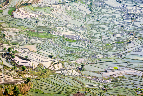 Asia, China, Yunnan Province, Yuanyang County. Flooded Laohu Zui (Tigers Mouth) rice terraces near Mengpin Village. photo