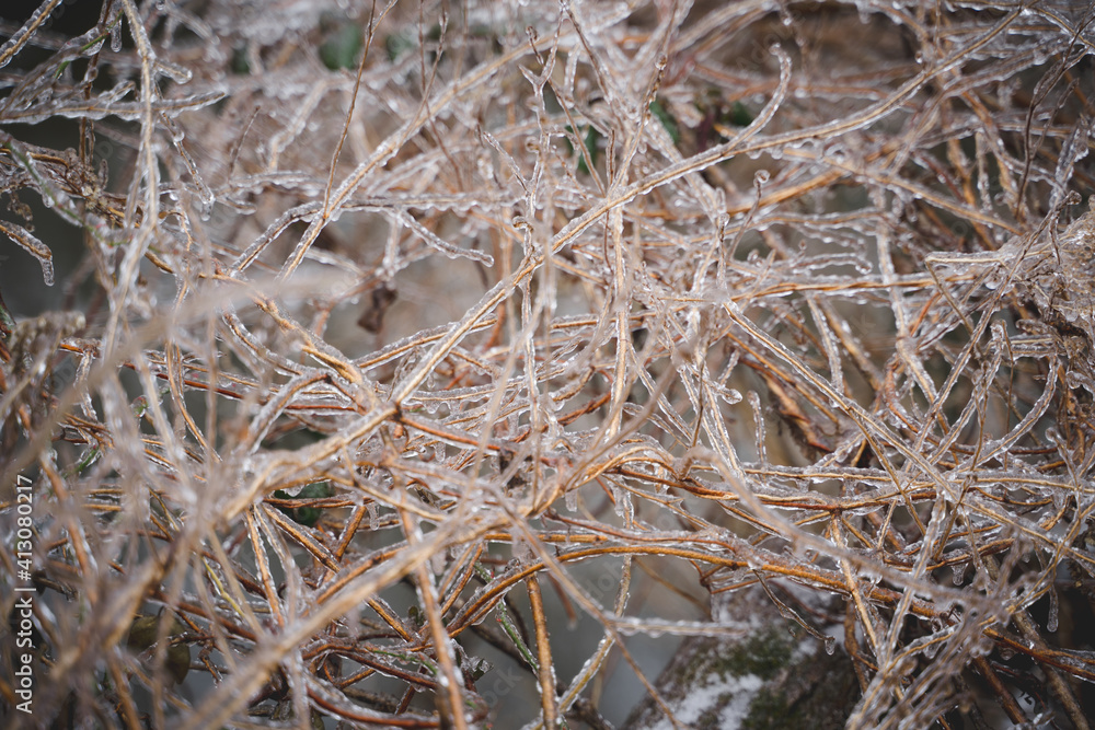 Ice Storm