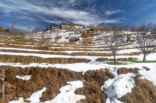 Snowfall and Snow Days. Sundarnagar , Himachal Pradesh, INDIA photo