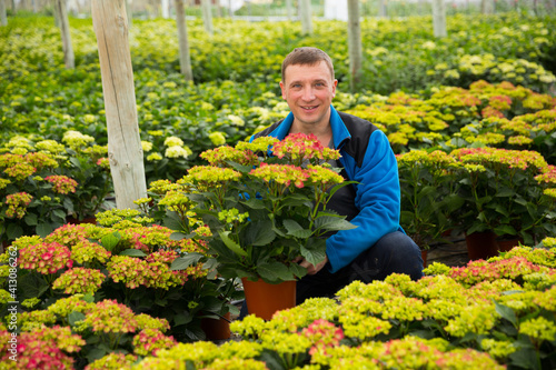 Portrait of male farmer caring perennial garden flowers at greenhouse farm