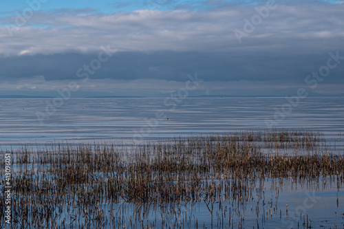 high tide near the coast with brown straws submerged under water and clouds covering the horizon