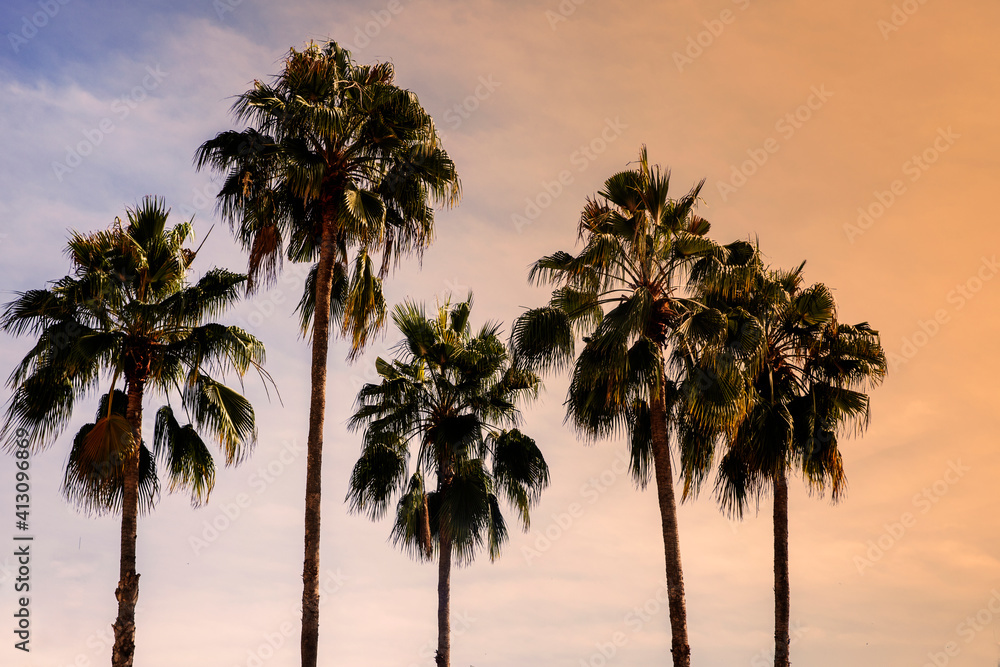 Copy space of silhouette tropical palm tree with sun light on sunset sky  background. Summer vacation and nature travel concept. Vintage tone filter effect color style.