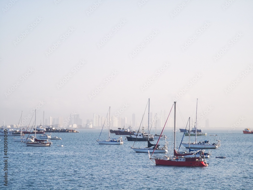 boats in the harbor