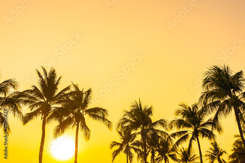 Fototapeta Naklejka Na Ścianę i Meble -  Beautiful coconut palm tree with sky at sunset or sunrise