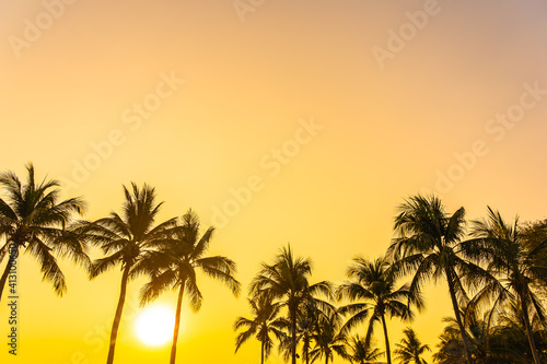 Beautiful coconut palm tree with sky at sunset or sunrise © siraphol