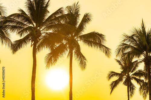 Fototapeta Naklejka Na Ścianę i Meble -  Beautiful coconut palm tree with sky at sunset or sunrise