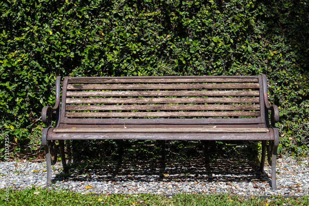 Old wooden bench with the green leaf wall Old wooden bench with the green leaf wall