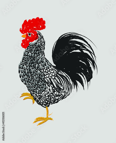 Black and white Rooster vector illustration.
