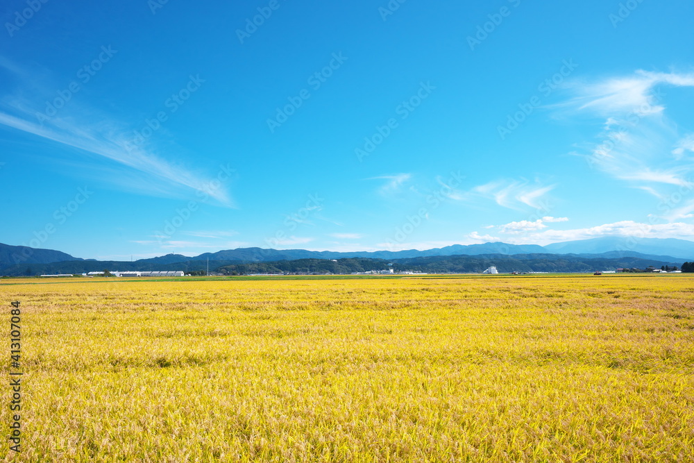Beautiful countryside of Japan on a sunny day