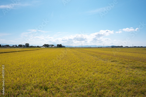 Beautiful countryside of Japan on a sunny day