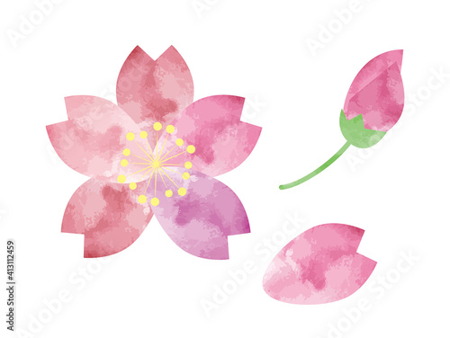 春の桜　花びら　水彩風