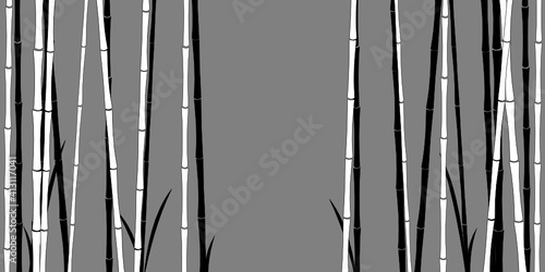 Bambus Wald