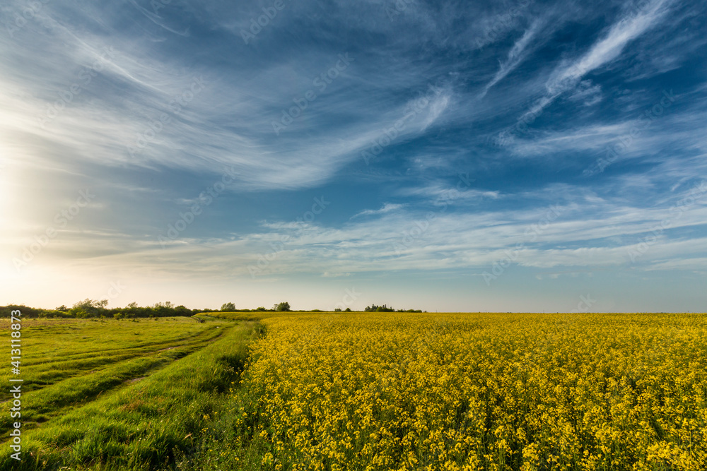 Beautiful rural fields in spring, under dramatic stormy sky