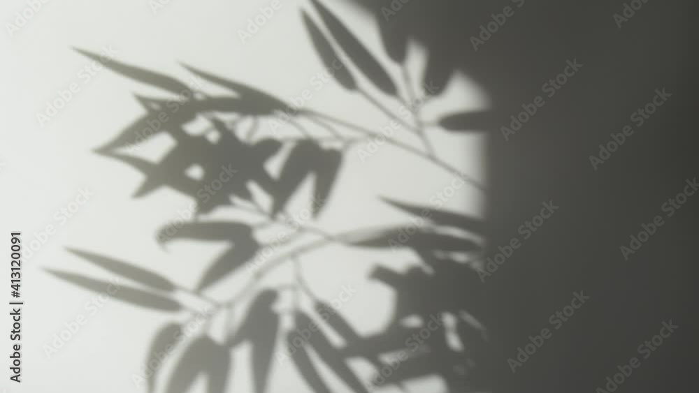 Abstract nature background of leaves shadow silhouette on wall moving by wind Abstract nature background of leaves shadow silhouette on wall moving by wind