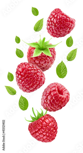 Flying ripe raspberries with green leaves isolated