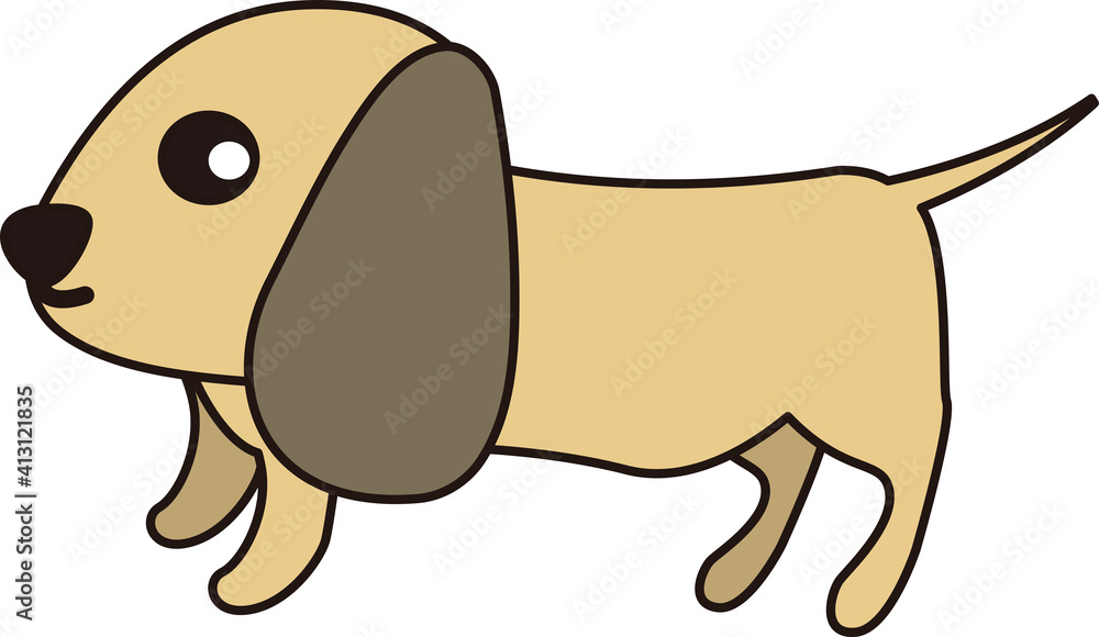 Fototapeta premium 可愛いくっきりしたミニチュアダックスフンド(横線あり)