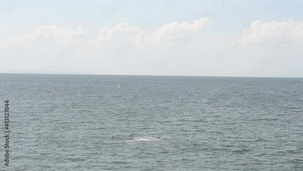 海とウィンドサファー 海とウィンドサファー