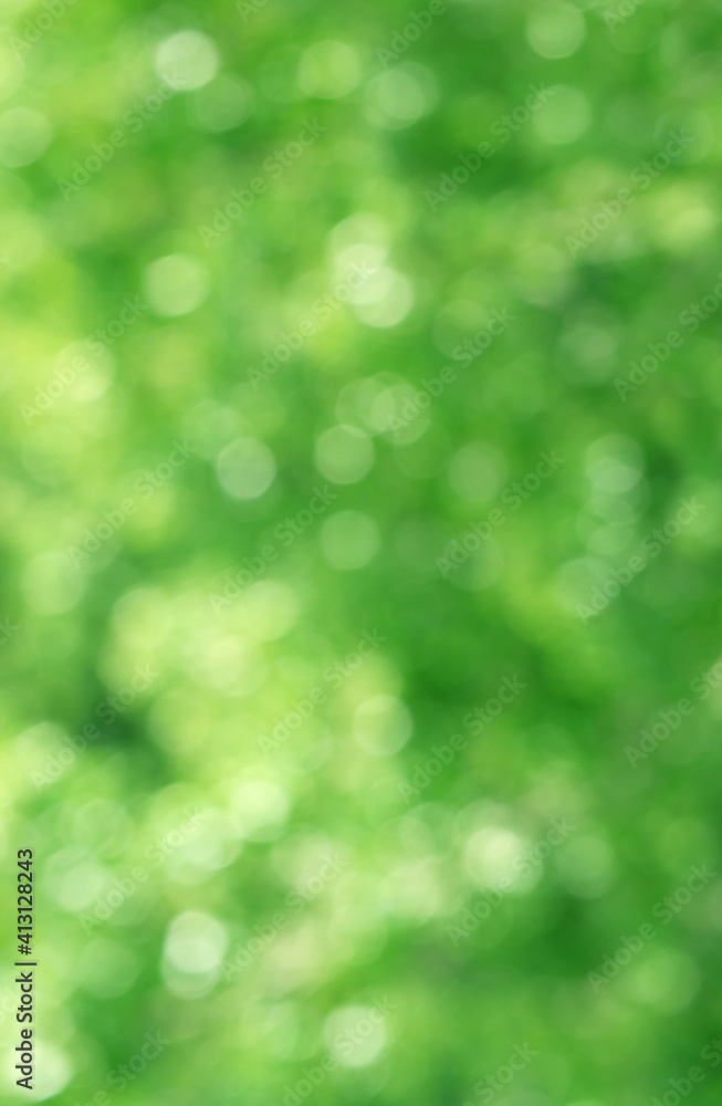 Fototapeta premium Abstract vibrant green gradient bokeh for background