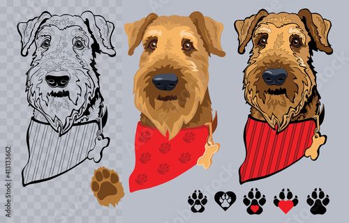 Dog breed Airedale terrier with bandana. Colorful and linear. Vector.