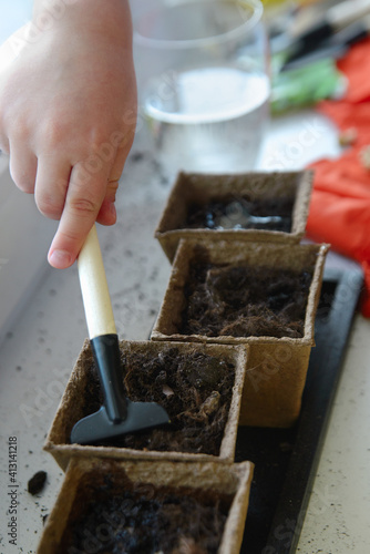 children are engaged in planting peas in an apartment near an illuminated window