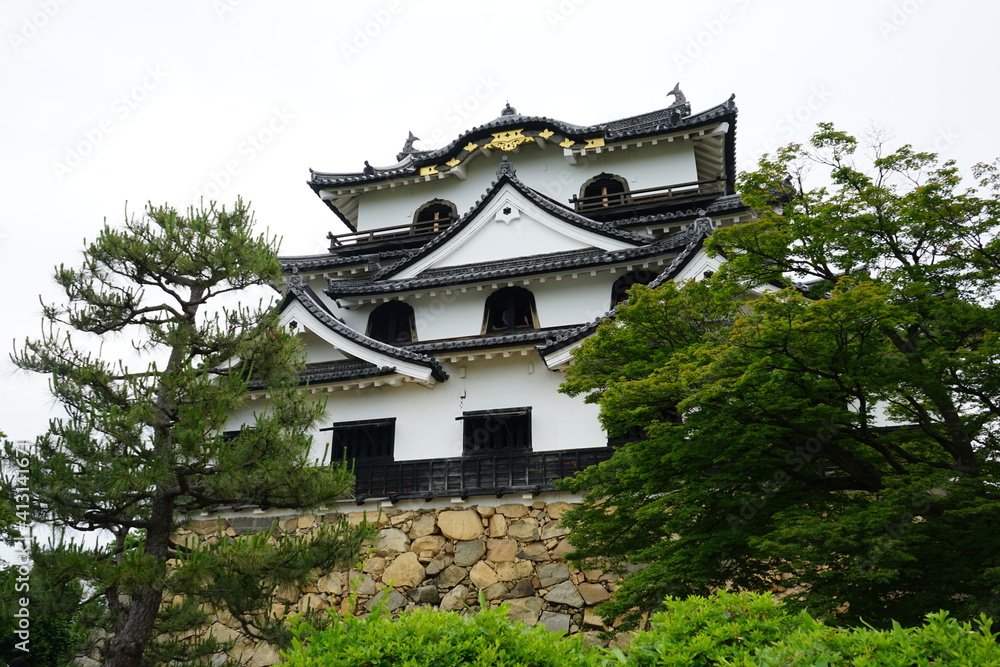 Hikone Castle with Blue Sky in Hikone City of Shiga Prefecture, Japan - 日本 滋賀県 彦根城 青空 Hikone Castle with Blue Sky in Hikone City of Shiga Prefecture, Japan - 日本 滋賀県 彦根城 青空