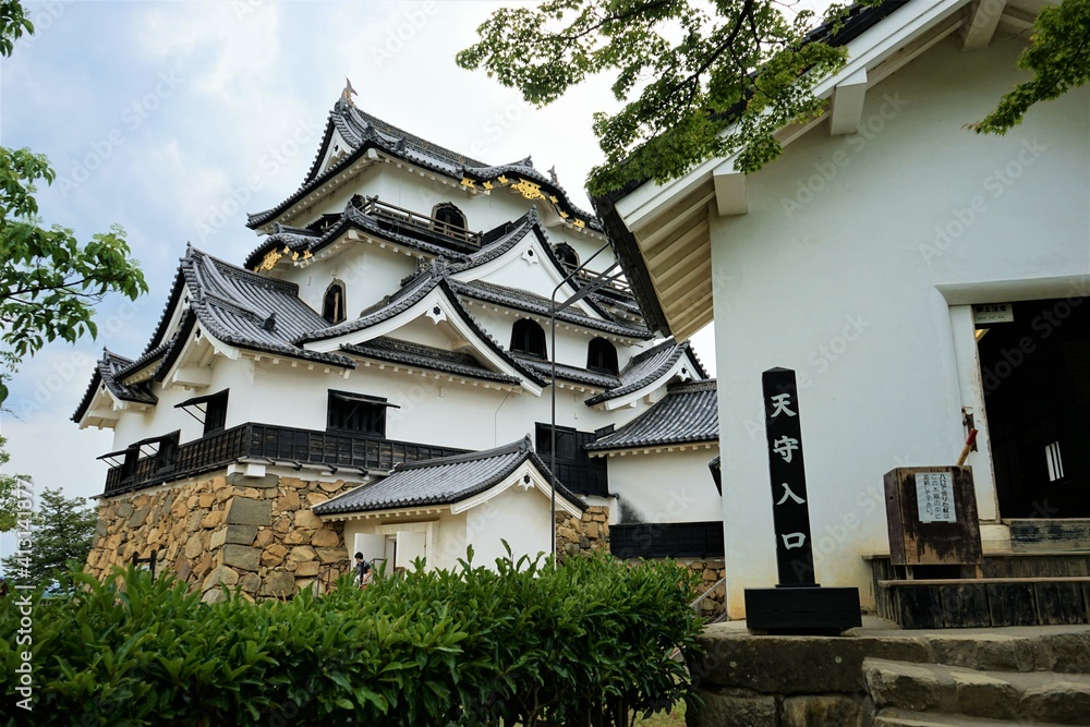 Hikone Castle with Blue Sky in Hikone City of Shiga, Japan - 日本 滋賀県 彦根城 青空 Hikone Castle with Blue Sky in Hikone City of Shiga, Japan - 日本 滋賀県 彦根城 青空