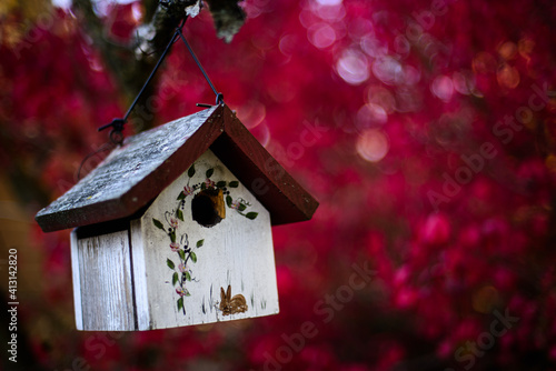 Old Vintage Bird House with Red Autumn Leaves © J.Papagoda Photo
