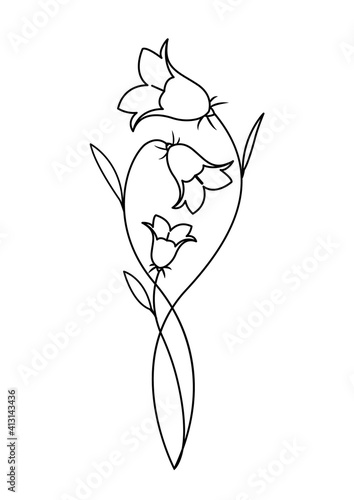 Bellflower illustration.Harebell drawing. Liden Klokke line art. Vector Harebell blooms