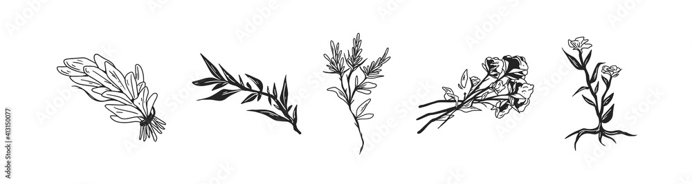 Obraz premium Black and white floral set of flowers, plants with leaves and herbs. Collection of hand-drawn floristic elements. Botanical monochrome vector illustration isolated on white background