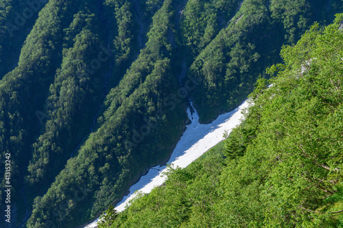 大樺沢の雪渓