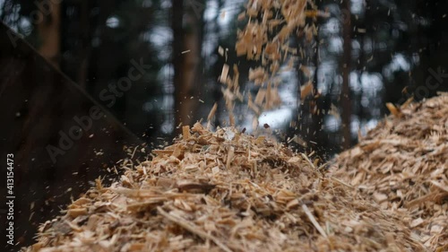 Waste wood chips are poured into a heap.