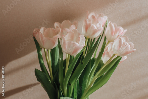 Delicate white tulip flowers in a vase  sunlight