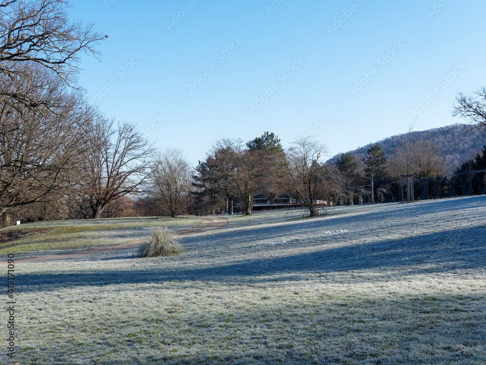 Grüttpark Lörrach. Landschaftspark im Grütt im Winter (Südschwarzwald. Baden-Württembergische landesgarten)