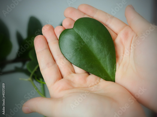 the love of nature is in our hands