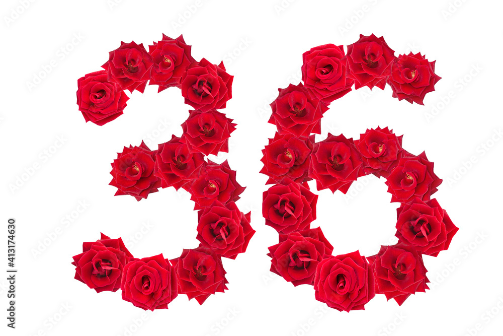 Numeral 36 made of red roses on a white isolated background. Element for decoration. Thirty six. Red roses. Numeral 36 made of red roses on a white isolated background. Element for decoration. Thirty six. Red roses.
