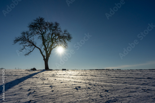 Winterlandschaft im Kraichgau, Deutschland, mit altem Baum im Vordergrund und Sonnenstern. Copy space for your design.