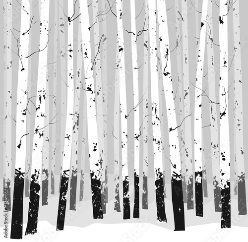 seamless horizontal vector background with trees - birches. Black white 