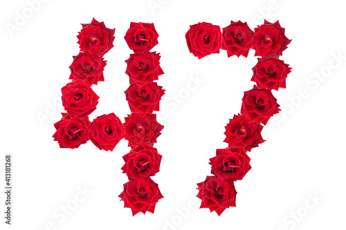 Numeral 47 made of red roses on a white isolated background. Element for decoration. forty seven. Red roses.