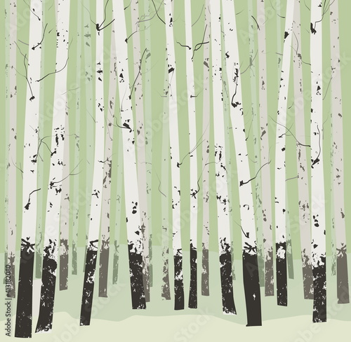 seamless horizontal vector background with trees - birches. Light, spring gray-green tones 