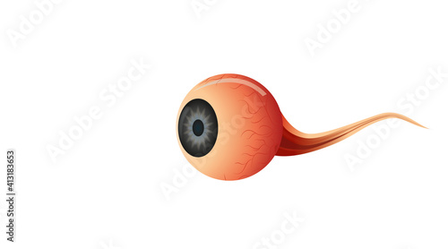 Foto eye anatomy