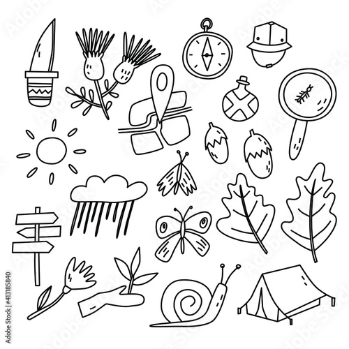 doodle nature vector isolated illustration, ideal for print