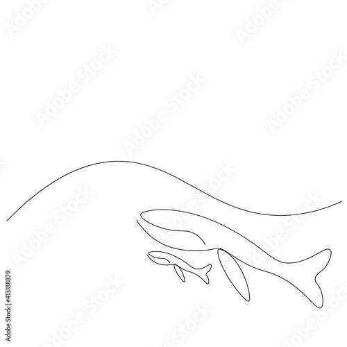 Whale animal silhouette line drawing, vector illustration