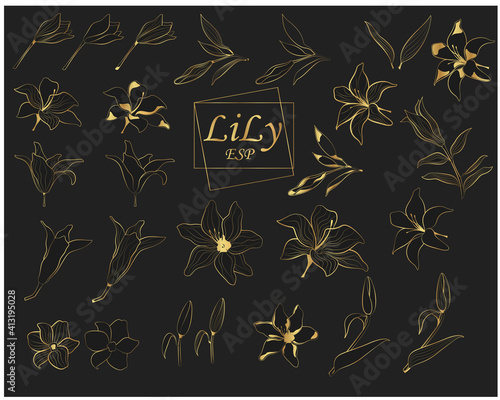 Set of gold lilies on a black background. Vector flower. Line art.