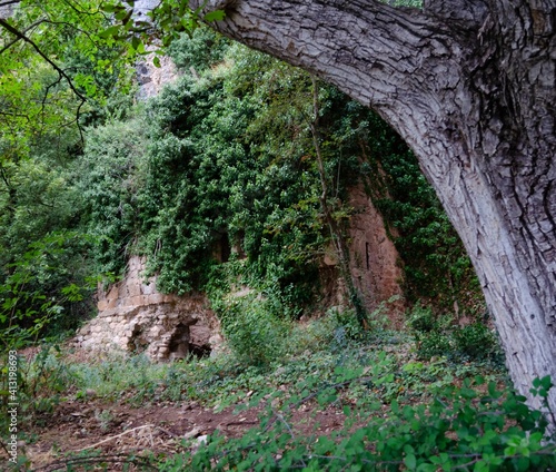 Castle in the forest in Castañares de Las Cuevas