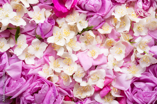  may roses and jasmine background. romantic and beauty concept