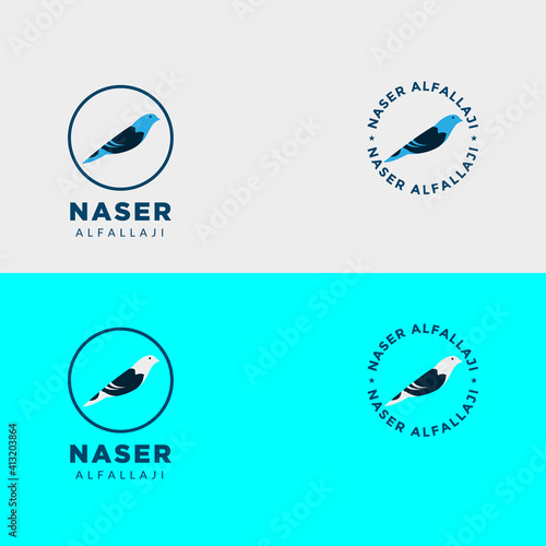 Collection bird logo design, simple modern icon bird. vector eps 10, easy editable.