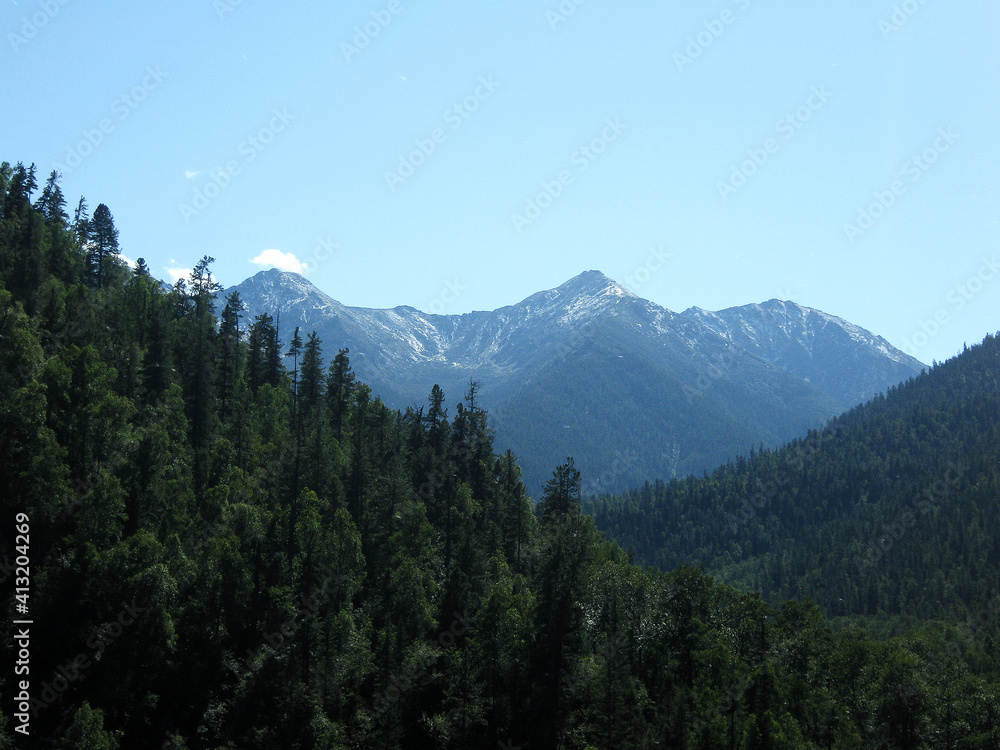 Fototapeta premium mountains and forest