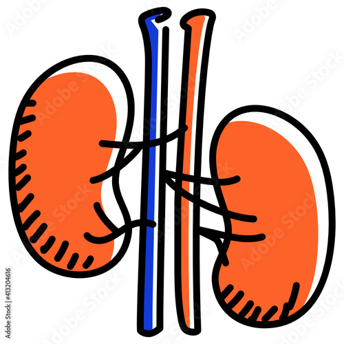 
Human organ doodle icon of kidneys 

